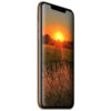 iphone 11 pro max 256gb Gold Side