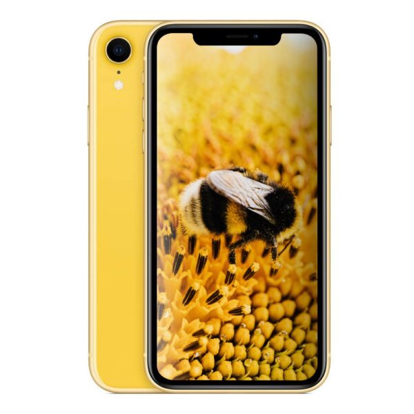 iphone xr 256gb yellow Display