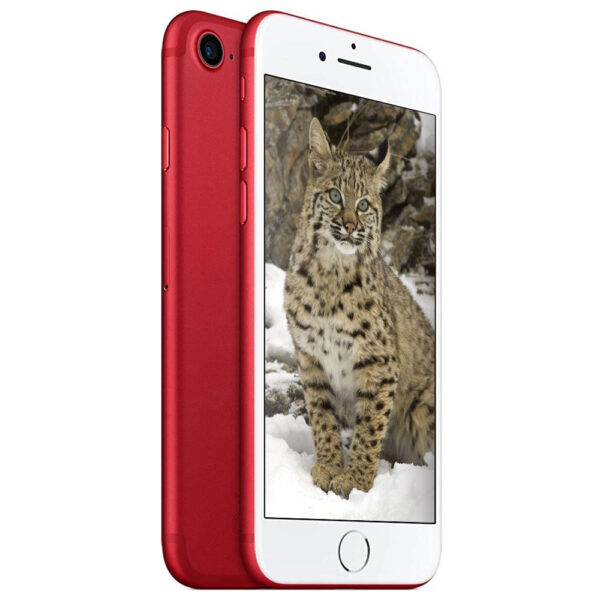 iphone 7 256gb red