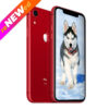 iphone xr 64gb Red Main